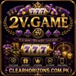 2V Game