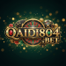 QAIDI804 logo
